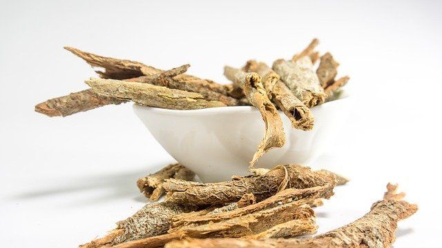 Ayurvedic Doctors in Surat
