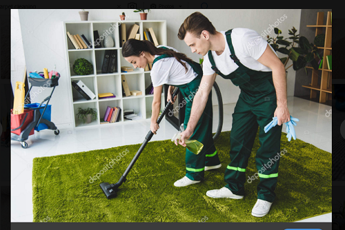 Top 10 Rugs & Mats Cleaning Company In Abbotsford