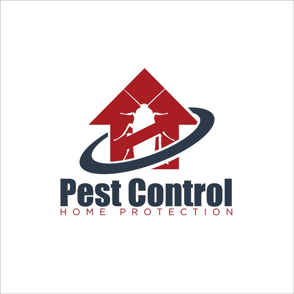 Pest Control Service In Marine Line