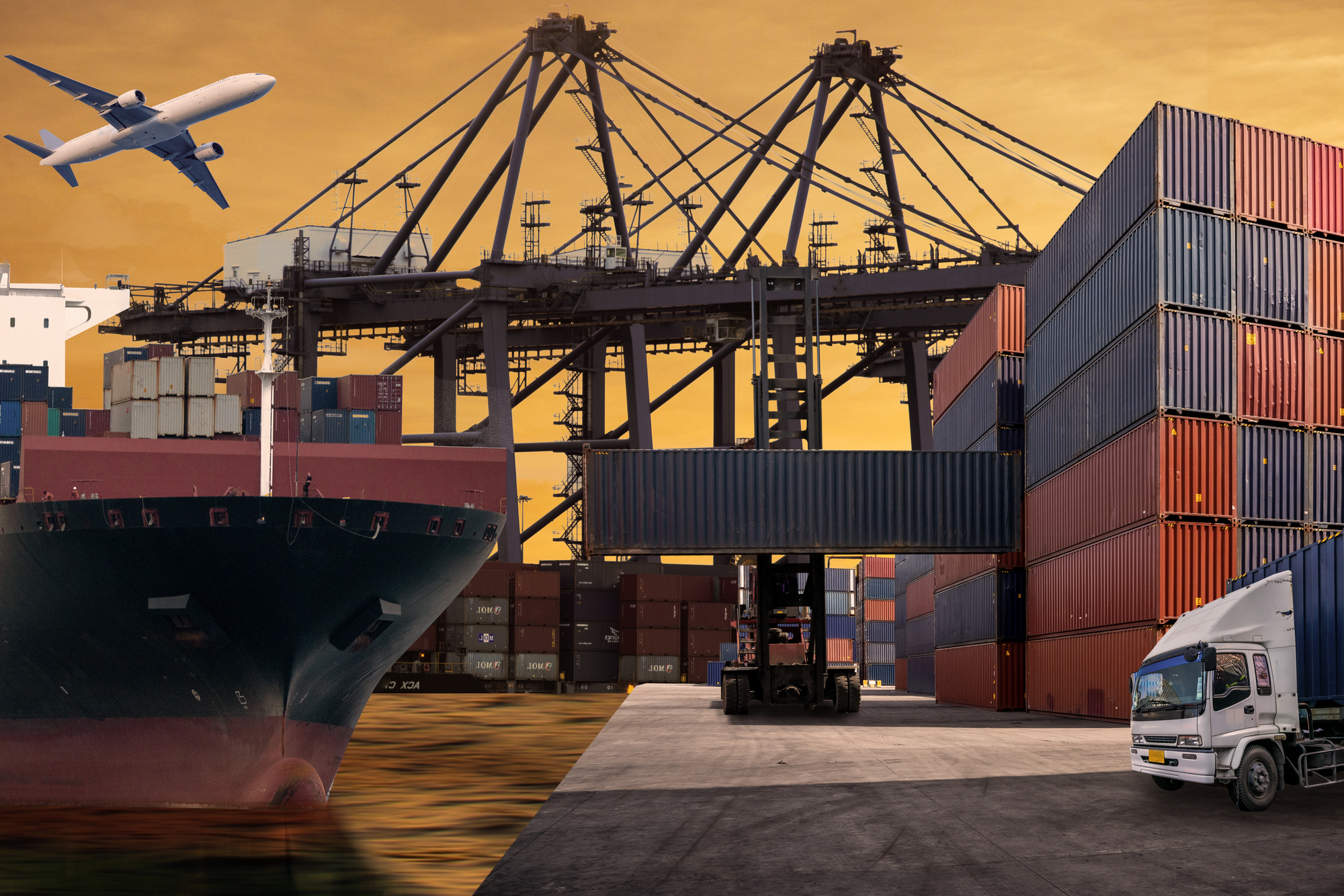 How To Apply For Import Export License In Mumbai?